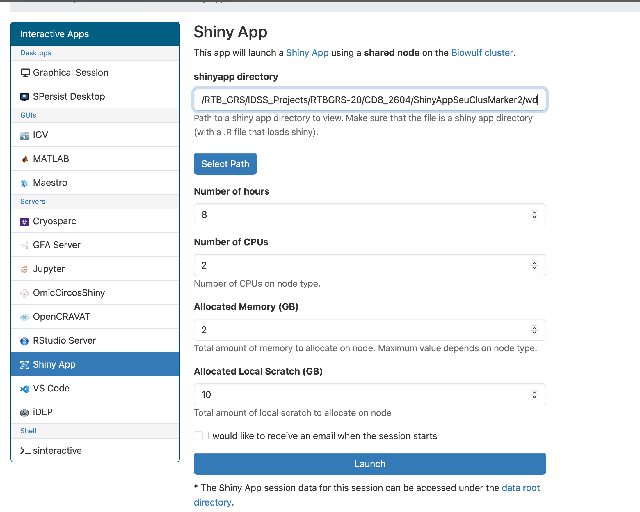 Shiny App configuration form