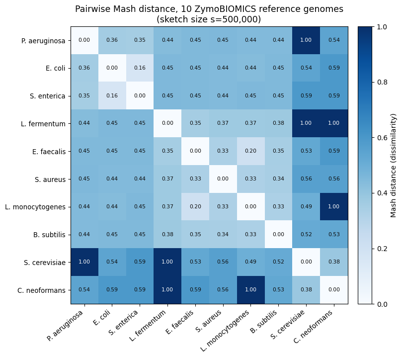 Pairwise Mash distance heatmap, 10 ZymoBIOMICS reference genomes, sketch size 500,000